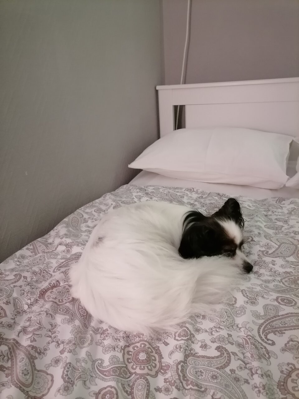 Хостел Есенин Москва-49